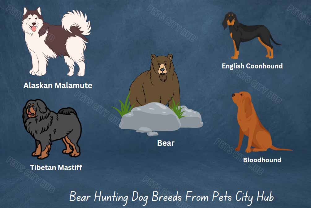 Bear Hunting Dog Breeds photo.