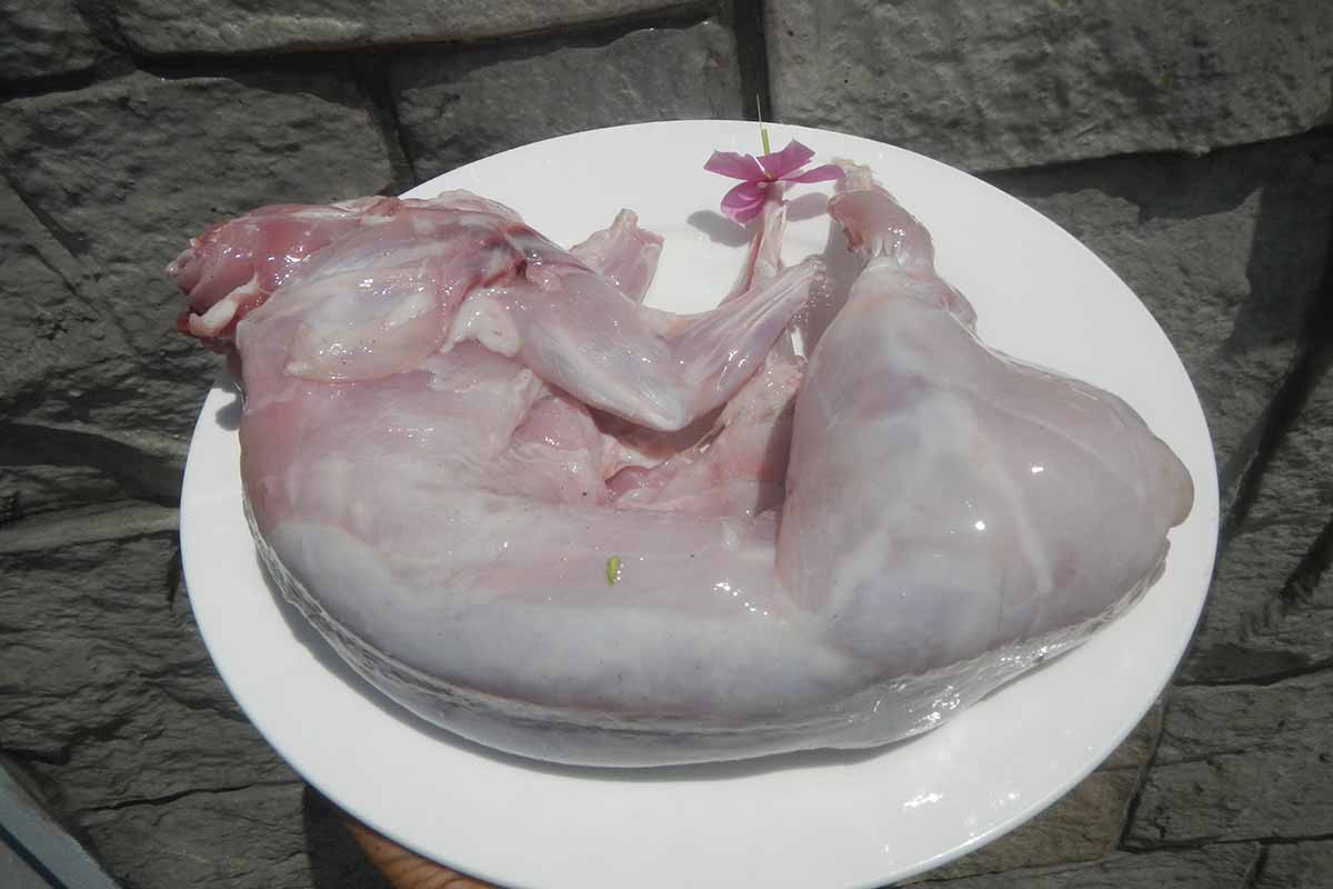 Rabbit Meat in pleat.