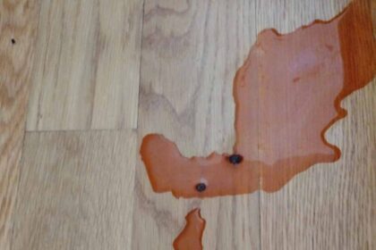 Red Urine in foloor.