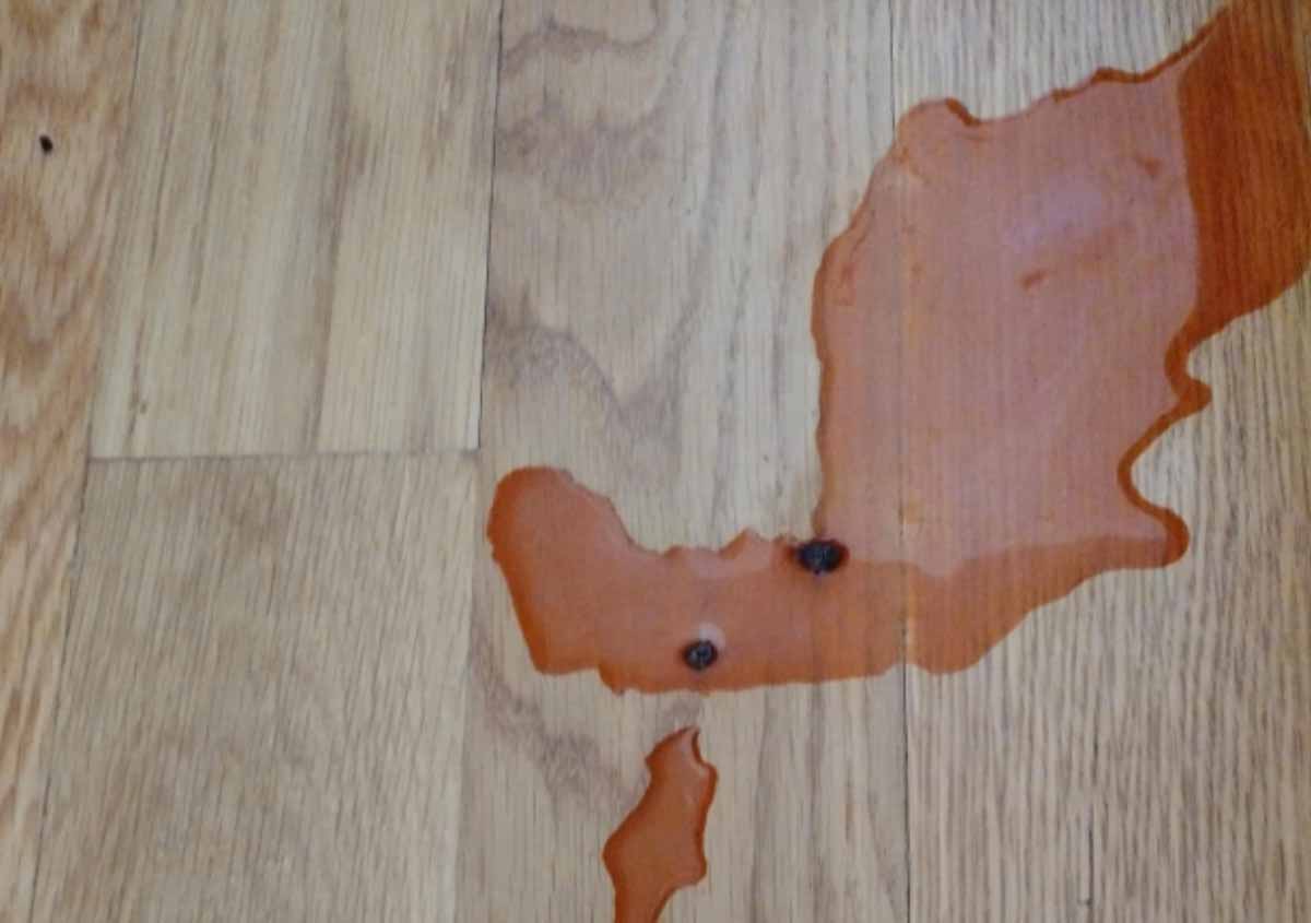 Red Urine in foloor.