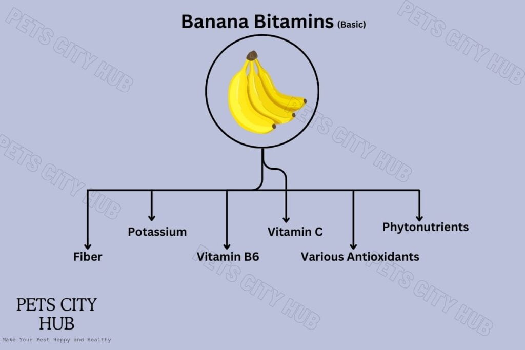 Bananas Vitamin sheet.