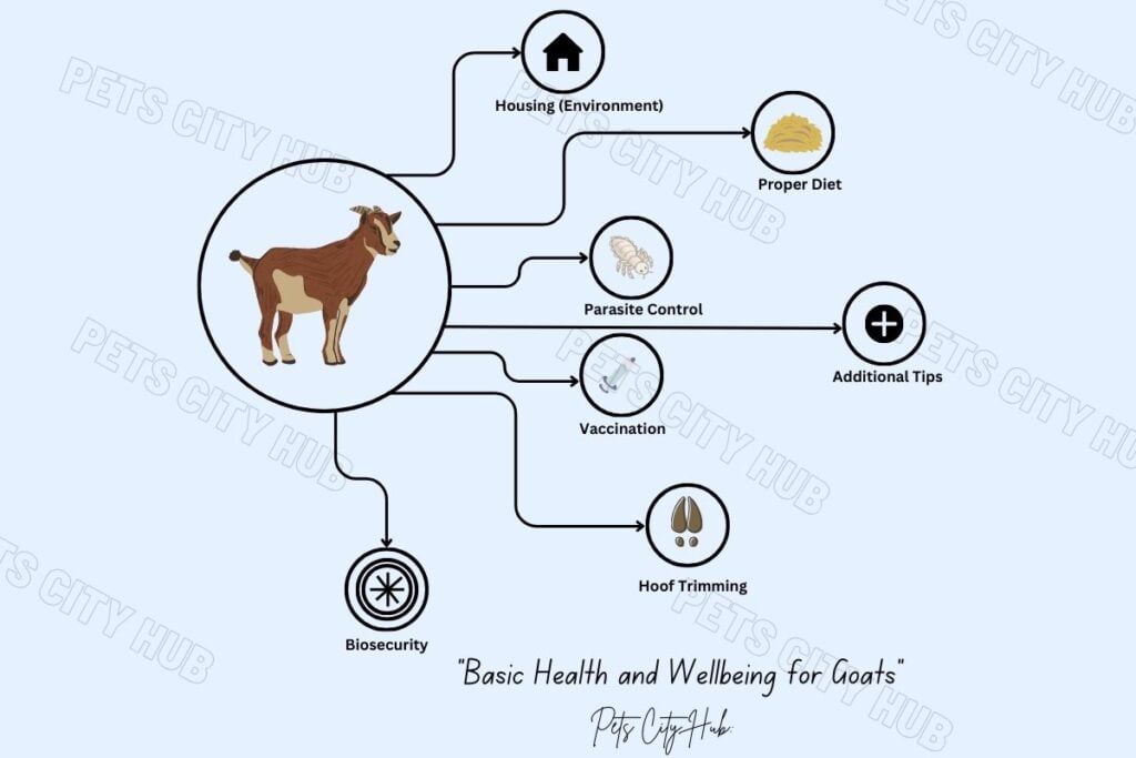 Health and Wellbing For Goat