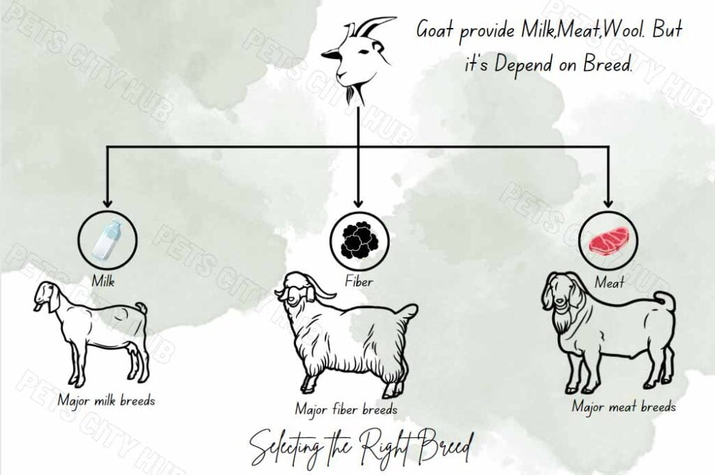 Goat Breeds Photo plan.
