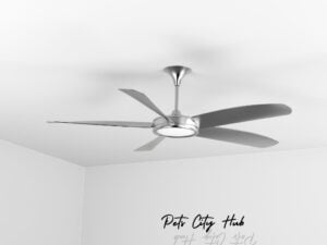 Ceiling Fan