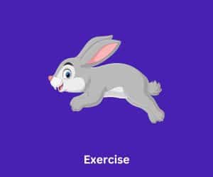 Running Rabbit