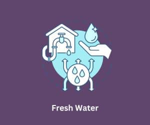 Fresh Water for Rabbit