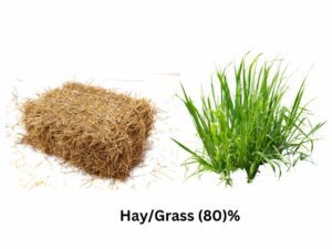 Hay and Grass