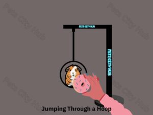 Jumping Through a Hoop Train.
