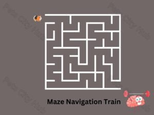 Maze Navigation Training Board .