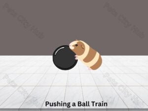 Pushing a Ball Train