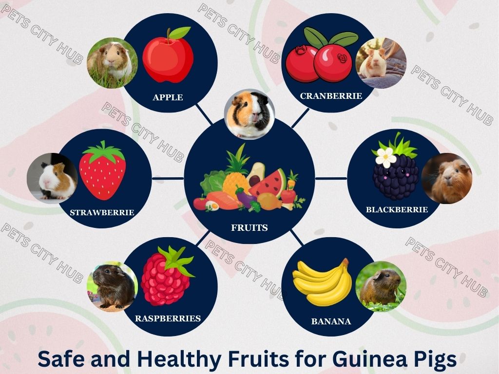 Safe and Healthy Fruits for Guinea Pigs