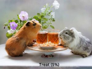 two guinea pig standt on the table.