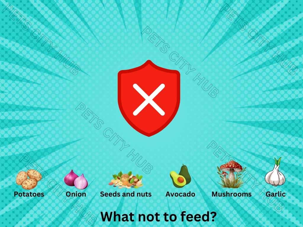 What not to feed plan