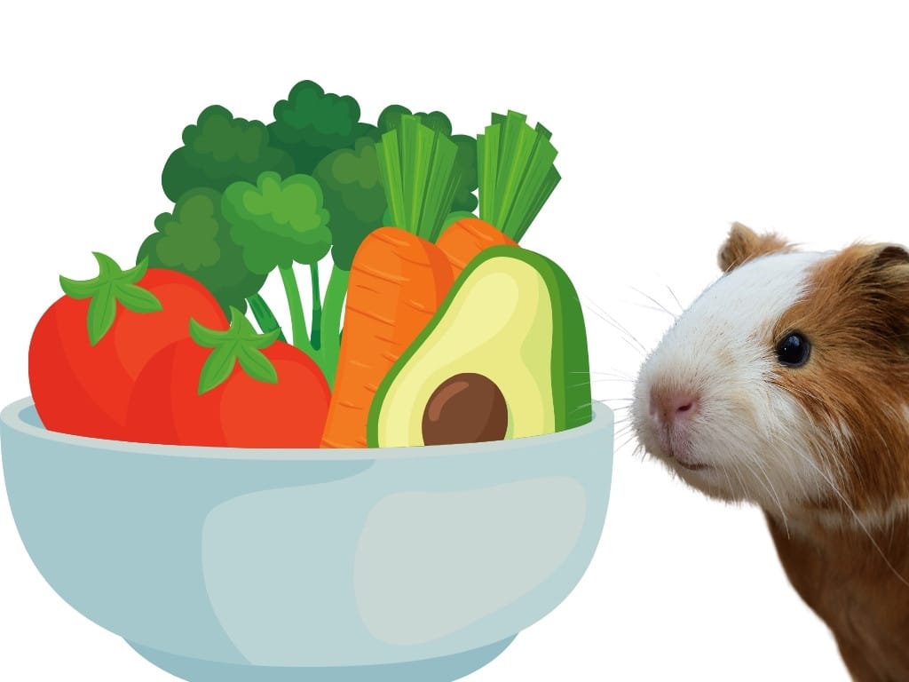 Fresh Vegetable