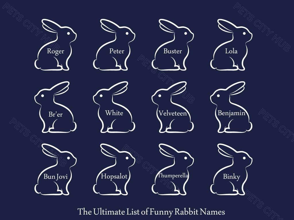 The Ultimate List of Funny Rabbit Names